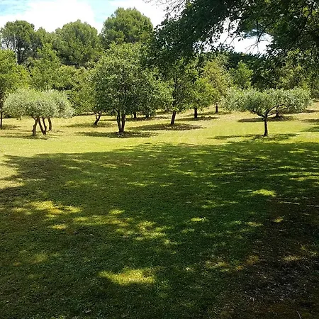 Maison De Charme Dans Parc De 2 Hectares Villa *